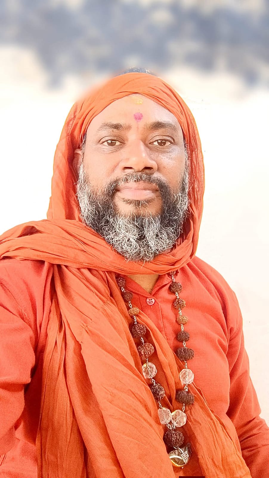 Sri Sri Sri Anaghananda Swami